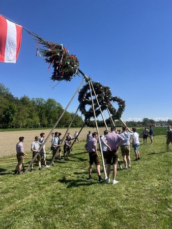 Maibaum 2025